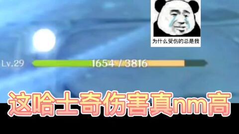 国产AAA免费视频